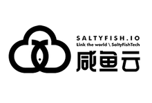 咸鱼云SaltyFish欧美VPS最新优惠促销活动整理发布【2026年7月】