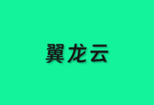 双11云服务器疯抢 - 翼龙云新客专享神价5大国际云充就送错过再等一年 - 云主机笔记